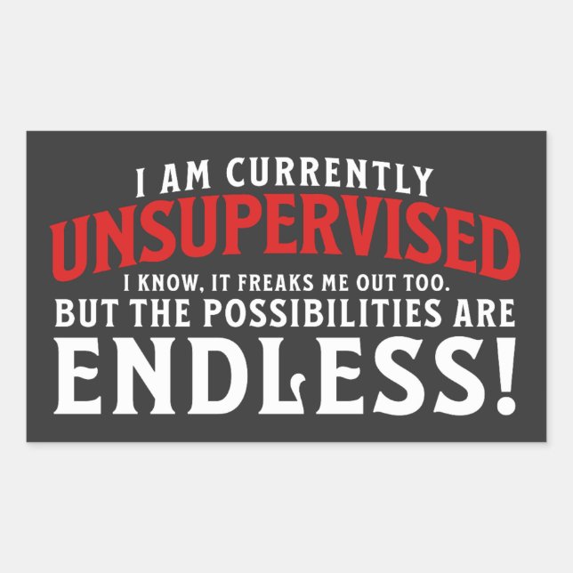 Ich bin derzeit nicht beaufsichtigt rechteckiger aufkleber (Vorderseite)