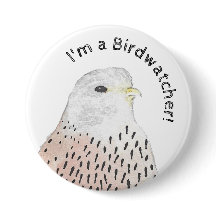 Ich bin ein Birdwatcher Kestrel