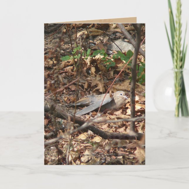 Ich bin ein Blatt, wirklich Karte (Vorderseite)