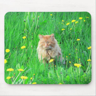 Ich bin ein Dandy-Löwe Mousepad