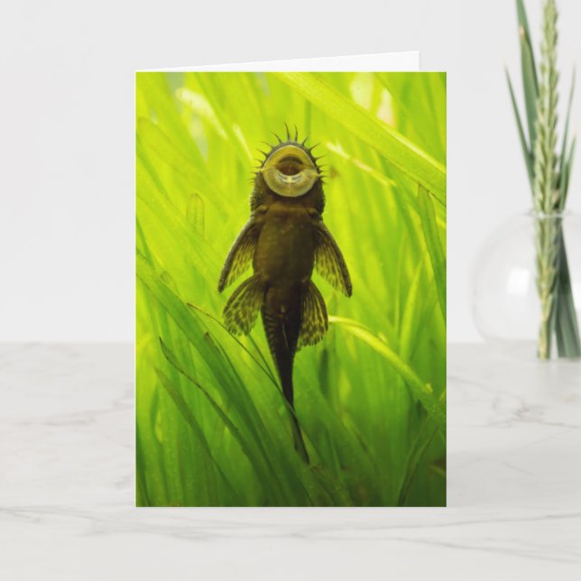 Ich bin ein Faulpelz für dich: Fisch-Grußkarte Dankeskarte (Vorderseite)