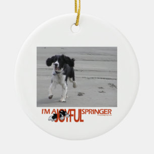 Ich bin ein froher Springer besonders anfertige Keramikornament