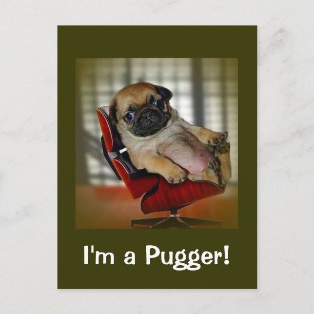 Ich bin ein Pugger! Postkarte (Vorderseite)