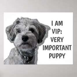 Ich bin ein VIP: Sehr wichtiger Welpe, niedlicher  Poster