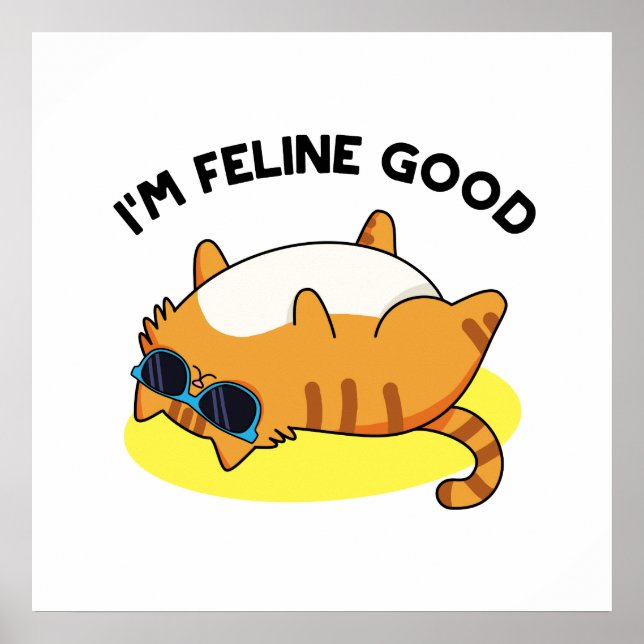 Ich bin Feline Good Funny Fat Cat Pun Poster (Vorne)