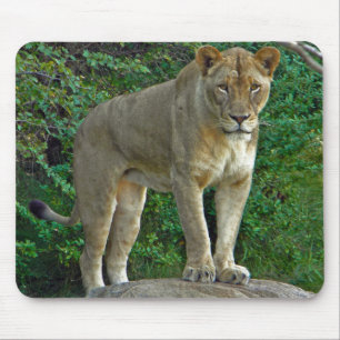 Ich bin Frau! Mousepad