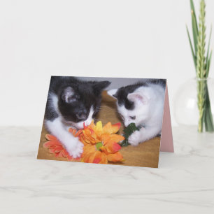 Ich bin frohes u r meine Freund KARTE