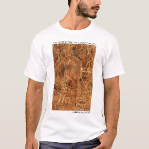 Ich bin gerade hier, hübsch zu schauen - dik-dik T-Shirt
