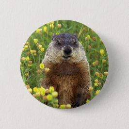 Ich bin Groundhog Button