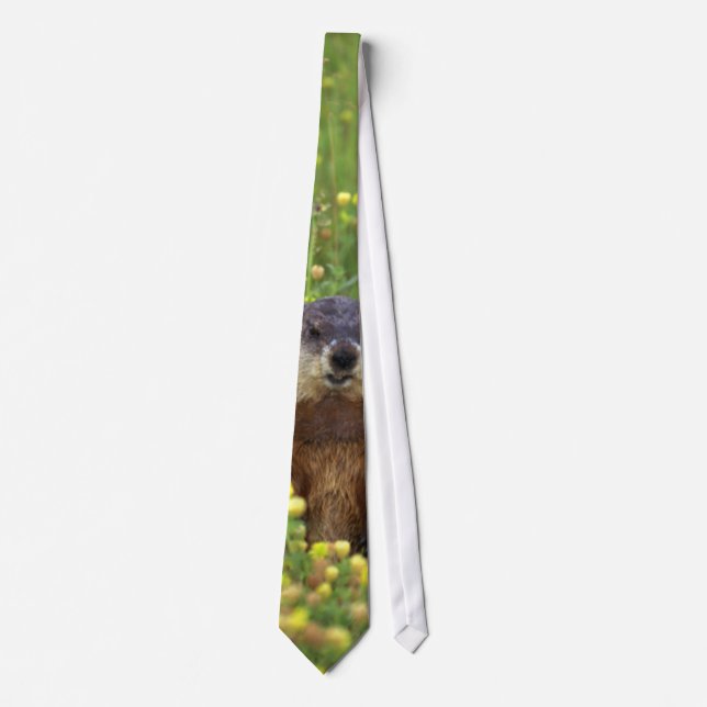 Ich bin Groundhog Krawatte (Vorderseite)