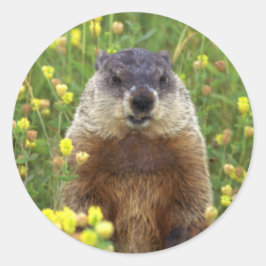 Ich bin Groundhog Sticker