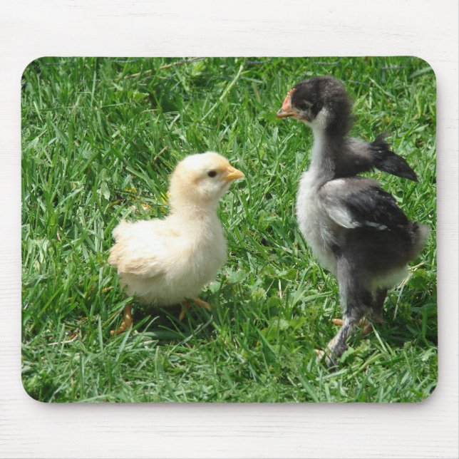 Ich bin grüner als du mousepad (Vorne)