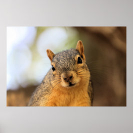 Ich bin heimlich subversiv! Mwah, hah, hah! Poster