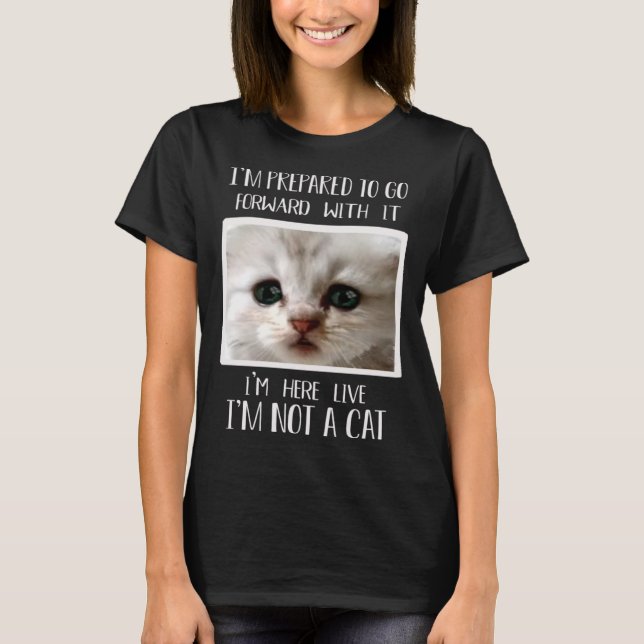 Ich bin hier Live ich bin kein Cat Cat Anwalt Meme T-Shirt (Vorderseite)