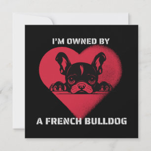Ich bin im Besitz einer Französischen Bulldogge