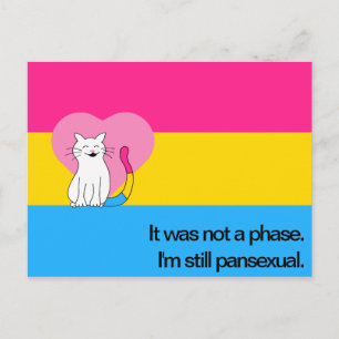Ich bin immer noch Pansexual Cat mit Pansexual Fla Postkarte