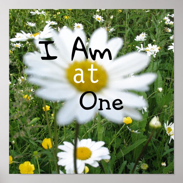 Ich bin in einer Wildblumen Poster (Vorne)