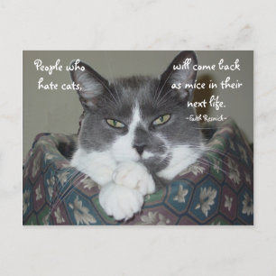 Ich bin Katze... Postkarte