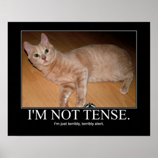 Ich bin kein angespanntes Katzenwerk Poster