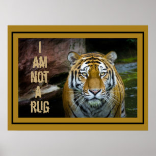 Ich bin kein Bengalischer Tiger. Poster