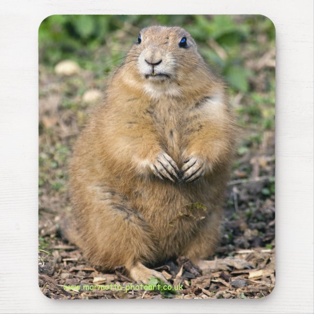 Ich bin kein Fett, ich bin Cudly Mousemat Mousepad (Vorne)