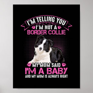 Ich bin kein Grenzgänger, sagte meine Mama, ich se Poster