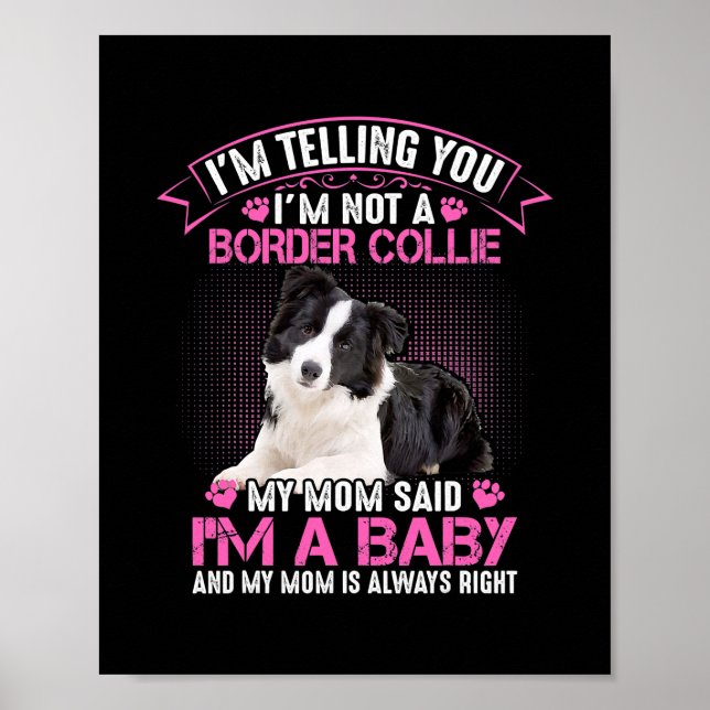 Ich bin kein Grenzgänger, sagte meine Mama, ich se Poster (Vorne)