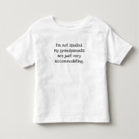 Ich bin kein lustiger T - Shirt