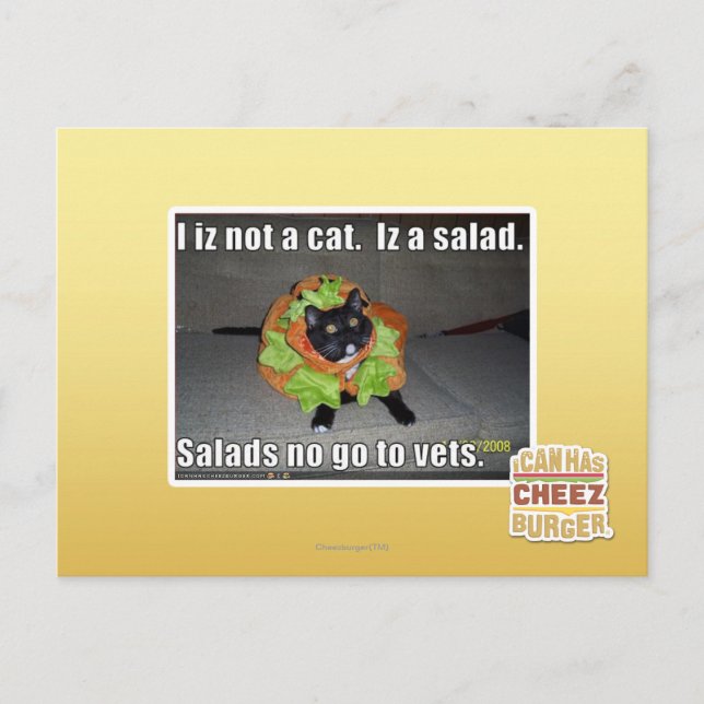 Ich bin keine Katze. Iz ein Salat. Postkarte (Vorderseite)