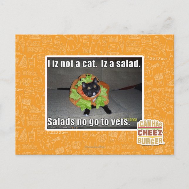 Ich bin keine Katze. Iz ein Salat. Postkarte (Vorderseite)