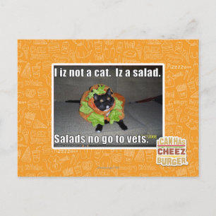 Ich bin keine Katze. Iz ein Salat. Postkarte