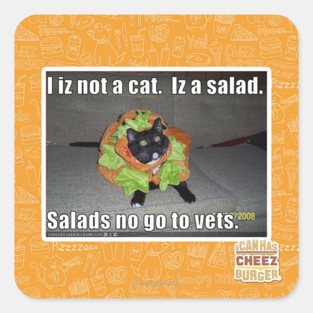 Ich bin keine Katze. Iz ein Salat. Quadratischer Aufkleber (Vorderseite)