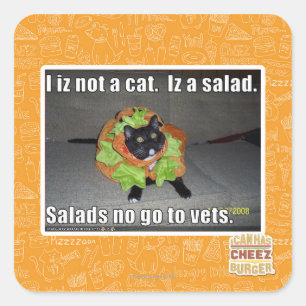 Ich bin keine Katze. Iz ein Salat. Quadratischer Aufkleber