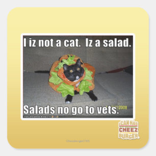 Ich bin keine Katze. Iz ein Salat. Quadratischer Aufkleber