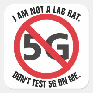 Ich bin keine Labrador-Ratte, testen Sie nicht 5G Quadratischer Aufkleber