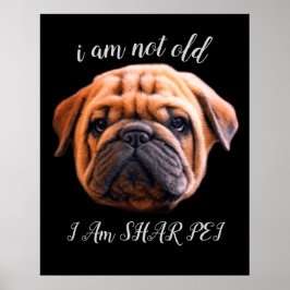ICH BIN NICHT ALT POSTER