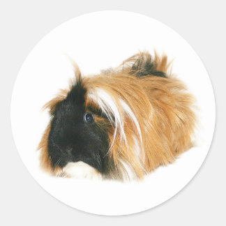 Ich bin nicht ein tribble runder aufkleber