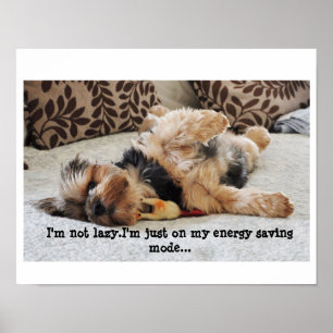 "Ich bin nicht faul" Value Poster