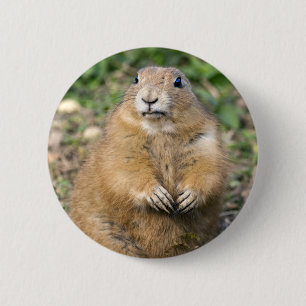 Ich bin nicht fett, ich bin ein gedämpftes Abzeich Button