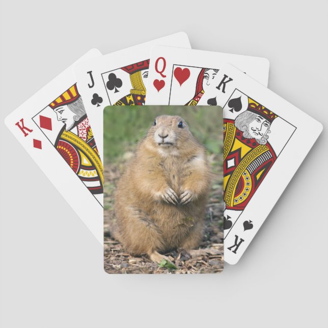 Ich bin nicht fett, ich spiele gerne Karten Spielkarten (Rückseite)