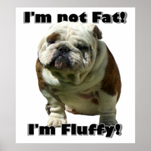Ich bin nicht fettes Bulldoggenplakat Poster