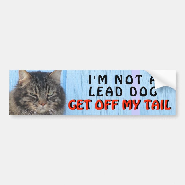Ich bin nicht Ihr Führungs-Hund, Katze meme Autoaufkleber (Vorne)