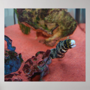 Ich bin NICHT schlank! Poster