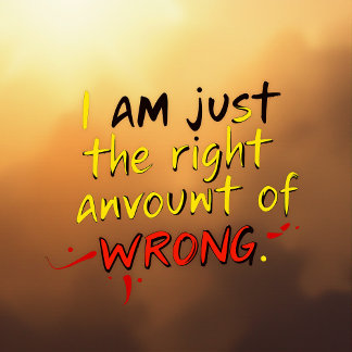 Ich bin nur die richtige Menge Falsch T-Shirt