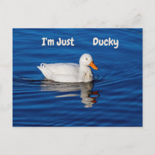 Ich bin nur ducky Postcard Postkarte