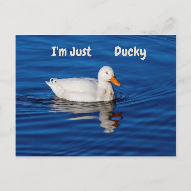 Ich bin nur ducky Postcard Postkarte (Vorderseite)