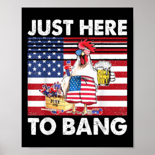 Ich bin nur hier für den Knall Lustiger Feuerwerk- Poster