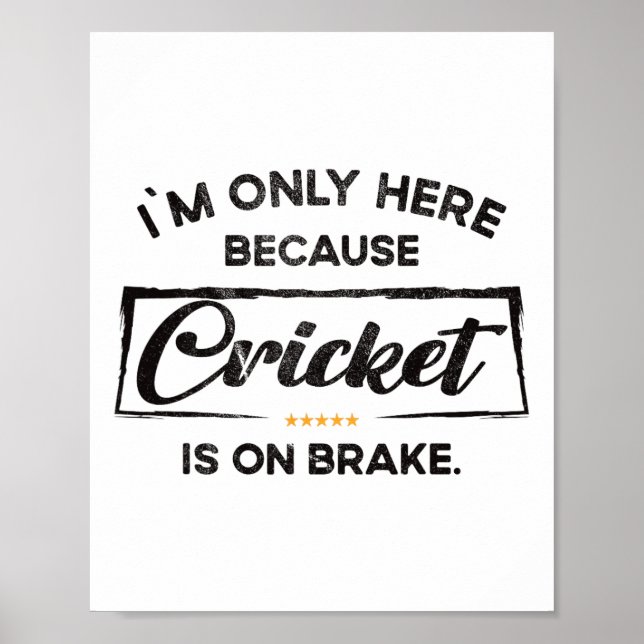 Ich bin nur hier wegen Cricket  Poster (Vorne)