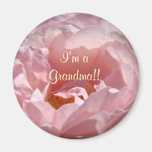 Ich bin Oma! Der Magnet Sunlit Pink Rose Blume