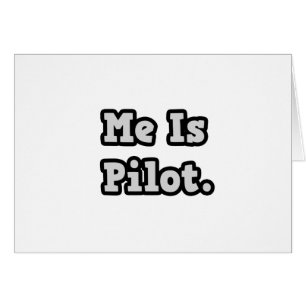 Ich bin Pilot